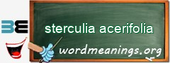 WordMeaning blackboard for sterculia acerifolia